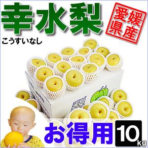 幸水梨 お得用 10kg