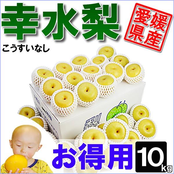 幸水梨 お得用 10kg