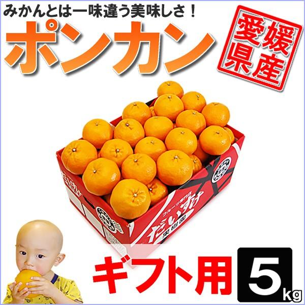 愛媛県産 ポンカン ギフト 用5ｋｇ