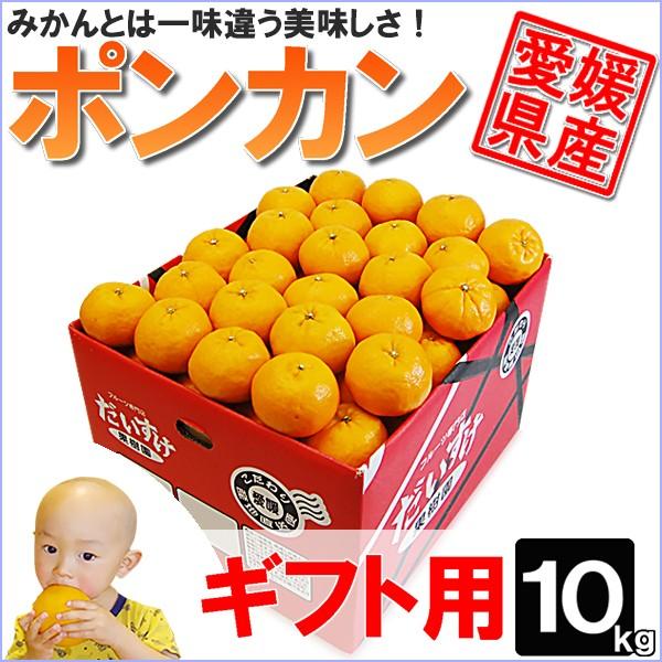 愛媛県産 ポンカン ギフト用 10ｋｇ