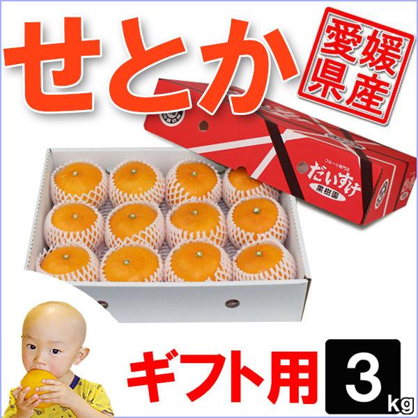 愛媛県産 せとか ギフト用3ｋｇ
