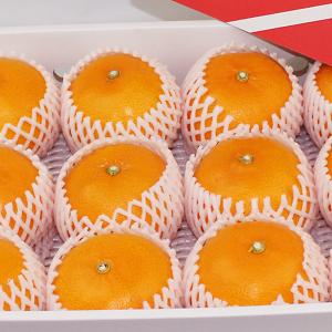 愛媛県産 せとか ギフト用3kgの詳細画像1