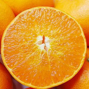 愛媛県産 せとか ギフト用3kgの詳細画像5