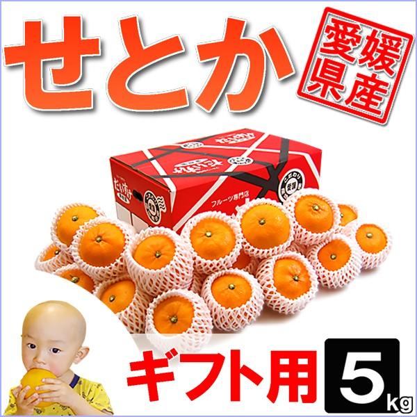 愛媛県産 せとか ギフト用 5ｋｇ
