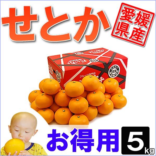 愛媛県産 せとか お得用 5ｋｇ