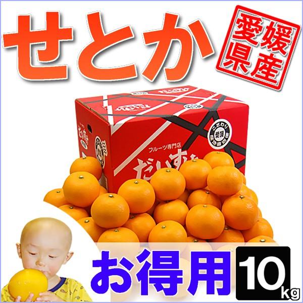 愛媛県産 せとか お得用 10ｋｇ