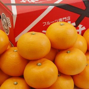 愛媛県産 せとか お得用 10kgの詳細画像1