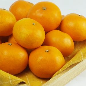 愛媛県産 せとか お得用 10kgの詳細画像2