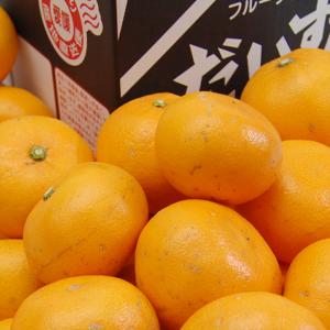 愛媛県産 せとか キズキズ君 10kgの詳細画像1