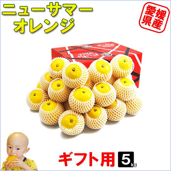 ニューサマーオレンジ ギフト用 5ｋｇ