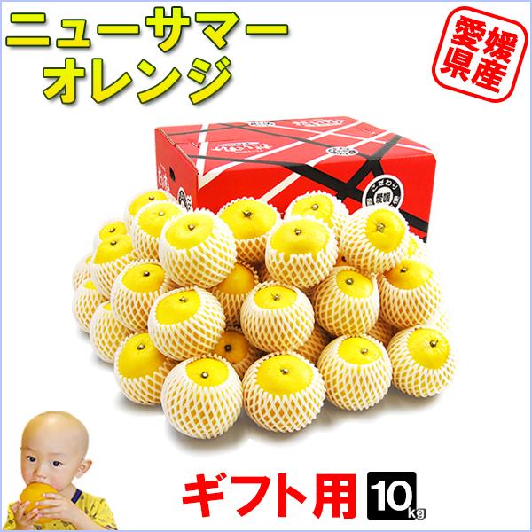 ニューサマーオレンジ ギフト用 10ｋｇ