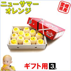 ニューサマーオレンジ キズキズ君 10kg : 愛媛だいすけ果樹園 - 通販