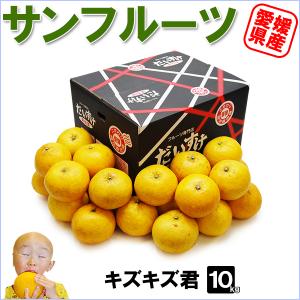 富士柿 キズキズ君 10kg : 愛媛だいすけ果樹園 - 通販 - Yahoo