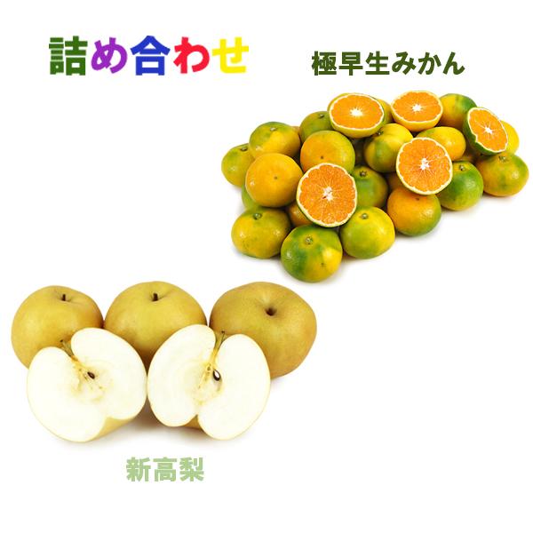 詰め合わせ（新高梨+極早生みかん）