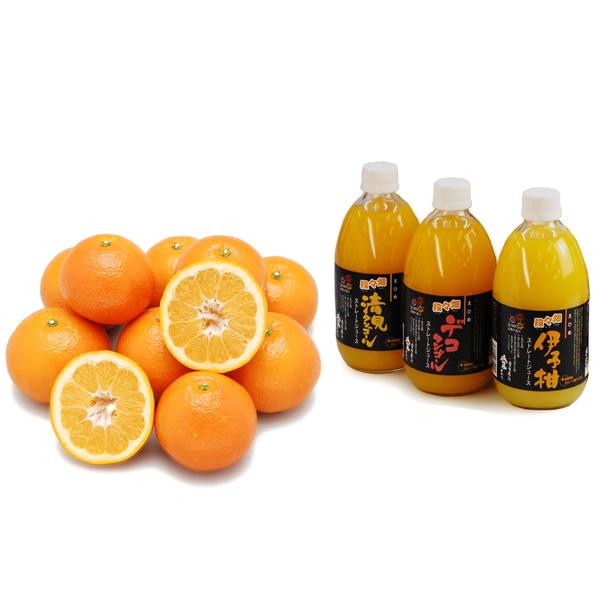 詰め合わせ（宮内伊予柑+おまかせジュース3本）