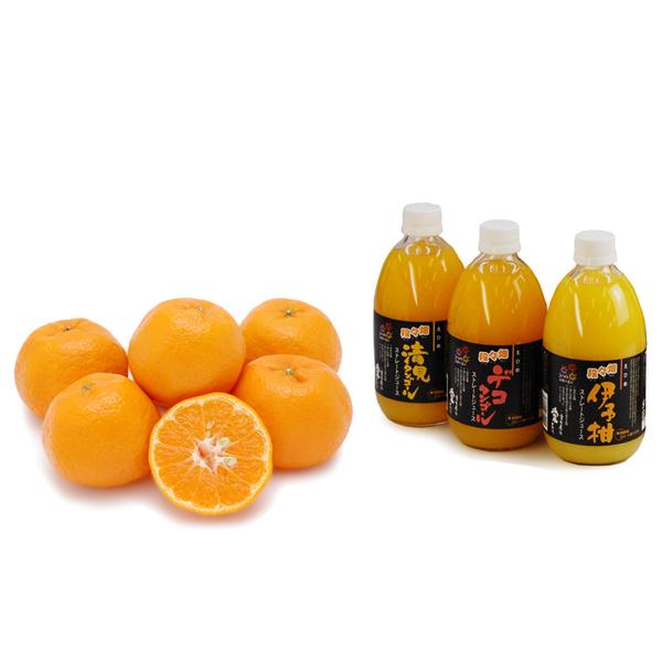 詰め合わせ（ポンカン+おまかせジュース3本）
