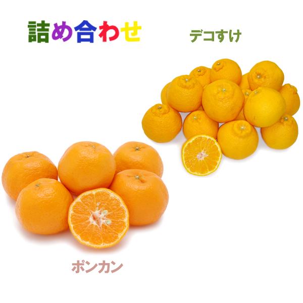 詰め合わせ（ポンカン+デコすけ）
