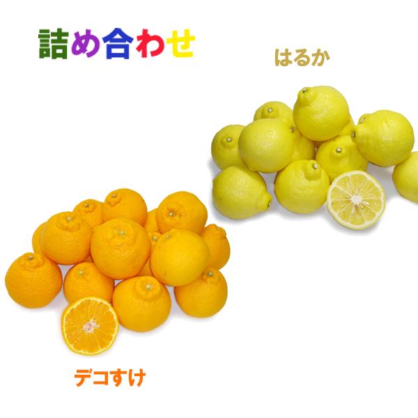 詰め合わせ（デコすけ+はるか）