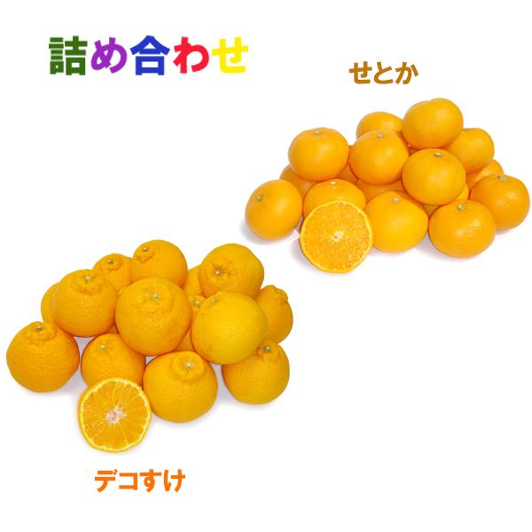 詰め合わせ（デコすけ+せとか）