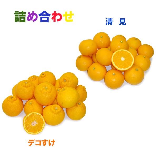 詰め合わせ（デコすけ+清見）