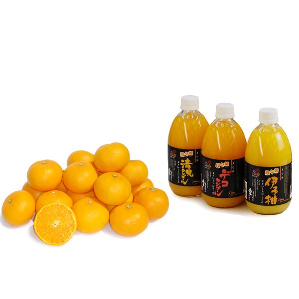 詰め合わせ（せとか+おまかせジュース3本）