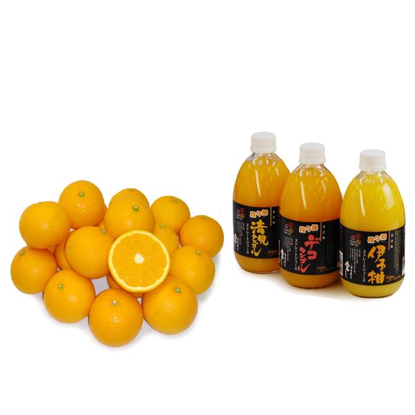 詰め合わせ（清見+おまかせジュース3本）