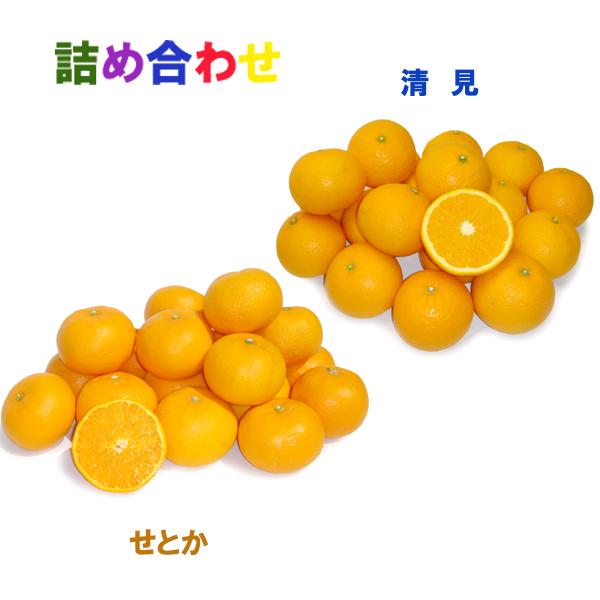 詰め合わせ（清見+せとか）