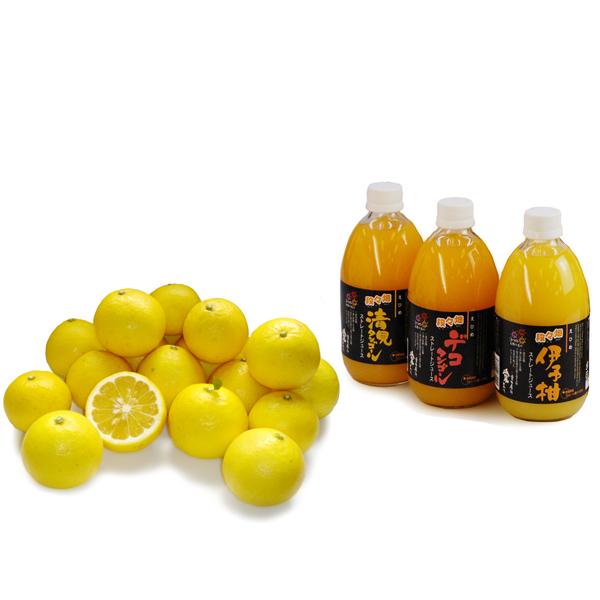 詰め合わせ（ニューサマーオレンジ+ジュースおまかせ3本）