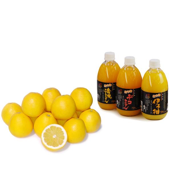 詰め合わせ（ジューシーオレンジ+おまかせジュース3本）