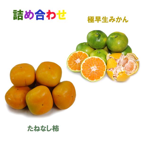 詰め合わせ（たねなし柿+極早生みかん）