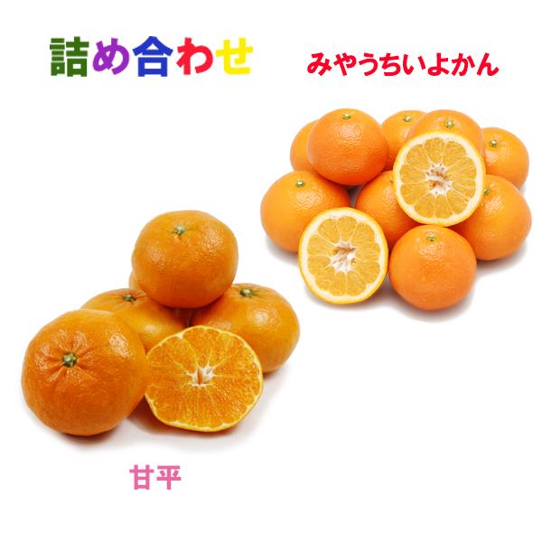 詰め合わせ（甘平+宮内伊予柑）