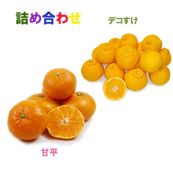 詰め合わせ（甘平+デコすけ）