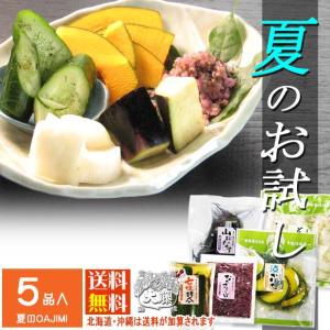 漬物セット 夏のOAJIMI 夏ギフト お中元 国産野菜 京都 なす かぼちゃ 胡瓜 大根 京野菜 季節限定 爆買 お中元