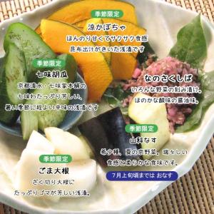 漬物セット 夏のOAJIMI 夏ギフト お中元...の詳細画像3