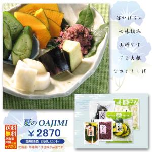 漬物セット 夏のOAJIMI 夏ギフト お中元...の詳細画像5
