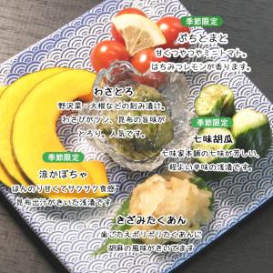 お中元 夏ギフト 夏のはしやすめ 京都 千枚漬...の詳細画像3