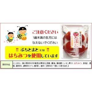 お中元 夏ギフト 夏のはしやすめ 京都 千枚漬...の詳細画像4