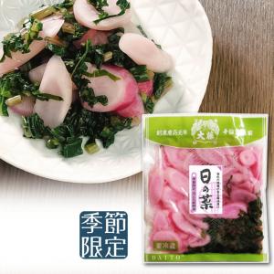 漬物 日の菜漬 浅漬 季節限定 ひのな 日野菜 伝統野菜