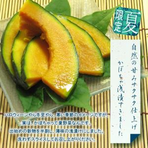 漬物 かぼちゃ 夏限定 浅漬け 南瓜 カボチャ...の詳細画像1