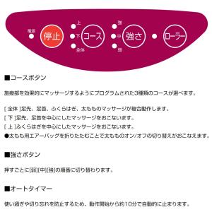 爆買 【メーカー公式店】 スライヴ フットマッ...の詳細画像2