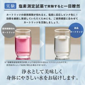 ダイト薬品 きよまろポット 交換用カートリッジ...の詳細画像3
