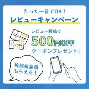 ダイト薬品 きよまろポット 交換用カートリッジ...の詳細画像5