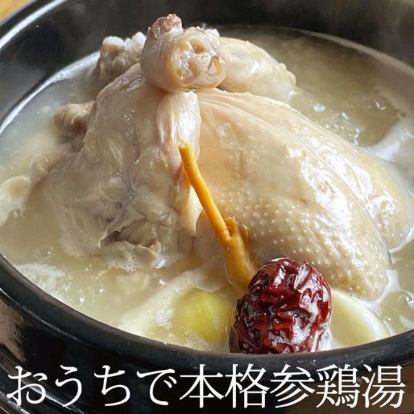 サムゲタン 丸鶏 1500ｇ 約4人前／ おうちで 参鶏湯 お店の味 無添加 うまみ調味料不使用 薬...