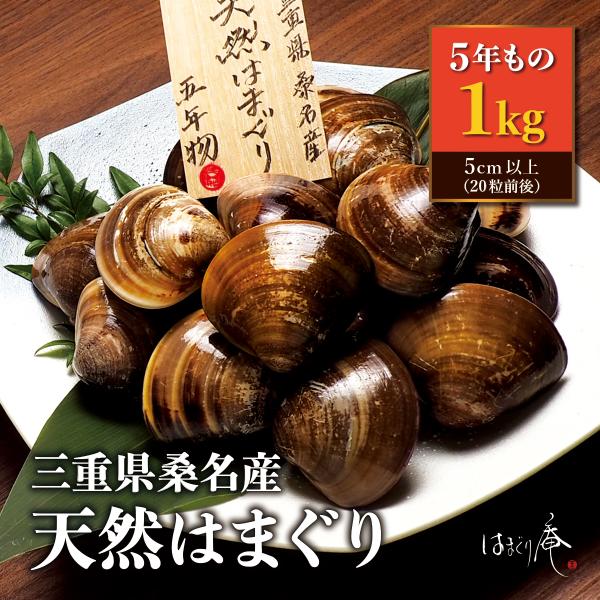 天然はまぐり5年もの1kg はまぐり庵 はまぐり ハマグリ 蛤 新鮮 活 三重県桑名 お取り寄せ 贈...