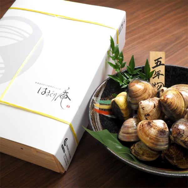 畜養はまぐり5年もの1kg／はまぐり 蛤 はまぐり庵 マルタカ水産 5cm前後 20粒前後