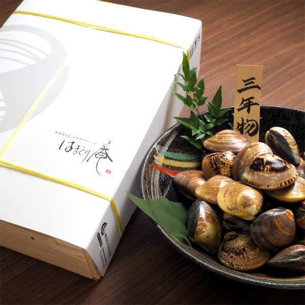 畜養はまぐり3年もの3kg／はまぐり 蛤 はまぐり庵 マルタカ水産 4cm前後 90粒前後