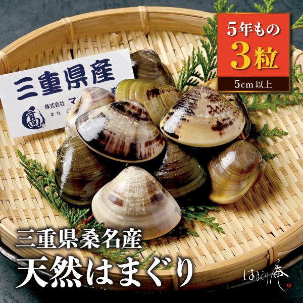 天然はまぐり5年もの3粒 はまぐり庵 はまぐり ハマグリ 蛤 新鮮 活 三重県桑名 お取り寄せ 贈り...