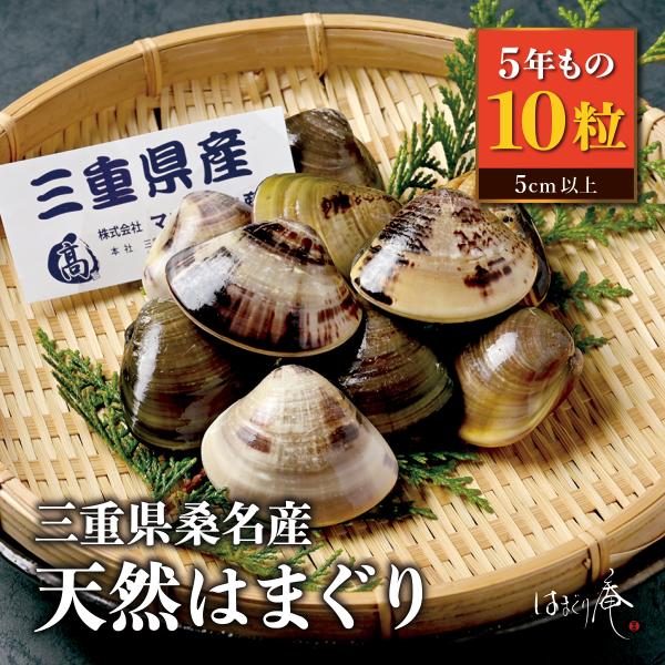 天然はまぐり5年もの10粒 はまぐり庵 はまぐり ハマグリ 蛤 新鮮 活 三重県桑名 お取り寄せ 贈...