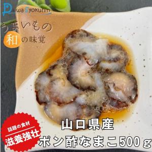 赤ナマコ酢の商品一覧 通販 Yahoo ショッピング