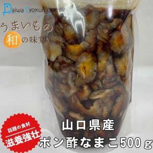 なまこ ポン酢なまこ 500g 山口県産 特選 高級赤なまこ使用 ナマコ ナマコ酢 なまこ ポン酢 青海鼠 酢の物 珍味  滋養強壮 健康志向 送料無料 ポイント消化